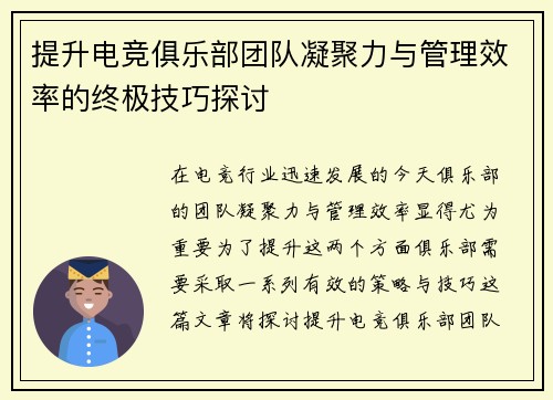 提升电竞俱乐部团队凝聚力与管理效率的终极技巧探讨