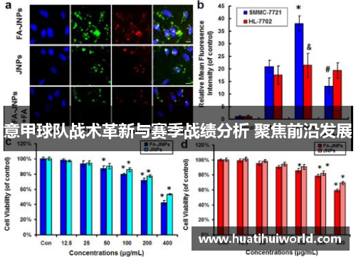 意甲球队战术革新与赛季战绩分析 聚焦前沿发展
